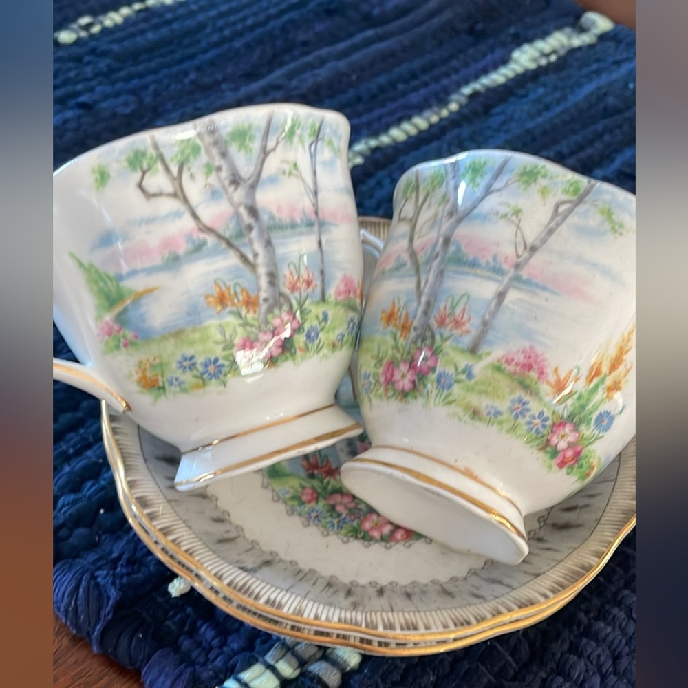 Royal Albert Tea Cup and Saucer set